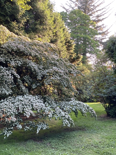 Brook Hall Estate & Gardens